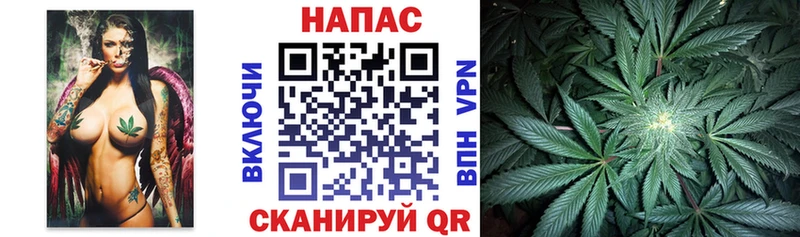 Марихуана план  darknet официальный сайт  Янаул 